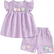 [Barbotimer] Baby Girl Summer Clothes 3D Flower Embroidery Smocked Tunic Top Casual Shorts Set 2Pcs Toddler Summer Outfit 9M-4Y, Purple, 18-24 Months