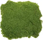 Abaodam Artificial Moss Grass Cuttable for DIY Projects Fake Turf Pad for Fairy Garden Table Decor Lifelike Artificial Grass for Decor
