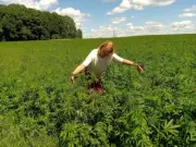 Real Hemp seeds Organic seeds Vegan seed 2oz (57gr) Ecological Grown Natural