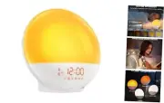 Wake Up Light, Sunrise Alarm Clock with 10,000 Lux Therapy Light, White Noise