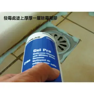 現貨 送擠壓頭ECOLAB Gel Pro 浴室除霉凝膠【有效期限說明請詳讀商品介紹文～介意者請勿下標】/矽利康/除黴/發霉/洗手檯/浴缸矽膠接縫/磁磚縫