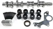 AP01 Camshaft Lifters Kit Compatible With VW Jetta MK5 2005-2006 1.8 1.9 2.0 2.5 TDI - BRM FWD 038109101AH