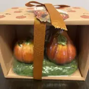 3 PC BLUE SKY CLAYWORKS Pumpkins Pumpkin Patch Fall Salt & Pepper Shakers NWT