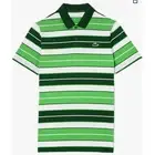 Lacoste Men's Short Sleeve Regular Fit Golf Polo Sorrel/Flour-Green S