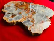 Lazy Susan Petrified Wood Fossil Crystal Stone Rock Gemstone - 5lb