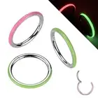 Titan Segment Ring Clicker Hinge Glows IN The Dark Nose Ear Piercing Z561