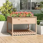 Raised Garden Bed, Elevated Planter Box Plant Container with Shelf 111.5x111.5x81 cm Solid Wood Pine