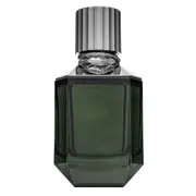 Roberto Cavalli Paradise Found EDT M 75ml