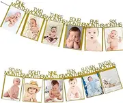 Party Decor Glitter One Banner Garland 1st Birthday Party Decoration Kids 12 Months Photo Bunting Garland Flags Boy Girl Birthday Decor (Color : Style I)