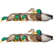 Avian X AXP Full Body Mallards Decoy, Ultra Realistic & Wind Activated, 12 Pack
