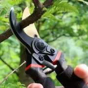 Secateurs Pruners Garden Pruning Shear Pruner Cutter Bypass Hand Tool Scissors~