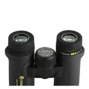 Vanguard Endeavor ED II 8x32 Binoculars