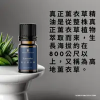 在飛比找蝦皮商城精選優惠-【詩梵娜香氛】真正薰衣草精油 10ml | True lav