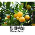 【LS】冷壓 甜橙精油 (ORANGE SWEET ESSENTIAL OIL)