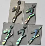 5 Letters Lowercase J in Paua Abalone 9.9mm x 17.3mm x 1.5mm thickness