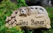Callie Needs a Treat Puppy Dog Miniature Garden Fairy Faerie WS 2127