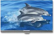 [VFMKT] Slim Metal Business Card Holder Portable Business Card Case Pocket Name Card Holder Dolphin Family Wallet for Men Women Office Travel, style, One Size