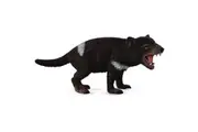 CollectA - Tasmanian Devil Australian Medium Animal Figurine
