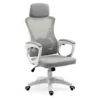 FORTIA Ergonomic Office Desk Chair, 10 Position Lumber Support, Mesh Fabric