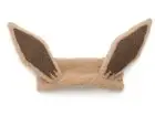 Gelato Pique Pokemon Sleep Eevee Hair Band
