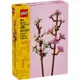 樂高LEGO 40725 LEL Flowers系列 櫻花
