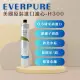 【PENTAIR濱特爾】EVERPURE H300/H-300 美國原廠進口 平行輸入(濾芯 濾心)