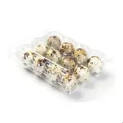 75 X Plastic Clear Quail Egg Cartons For 12 Eggs
