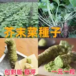 🌱芥末菜種子  辣根種子 山葵種子綠芥末種子四季播種 庭院蔬菜山葵種子綠芥末種子一元一粒 四季播種 庭院蔬菜