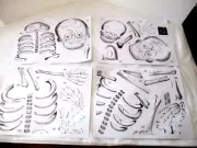 8 Sheets of Halloween Window Clings, 3 Skeletons, Ghosts, Bats, and Spiders