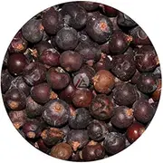 Juniper Berries - 1Kg