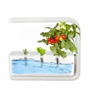 US (European Standard) Full Spectrum Hydroponic System Plant Light Indoor HG