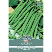 Mr Fothergill's Brown Beauty Dwarf Bean Vegetable Seed