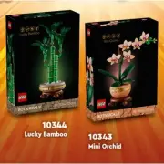 LEGO Botanicals 10343 & 10344 - Mini Orchid & Lucky Bamboo -Brand New & Sealed