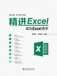 在飛比找樂天市場購物網優惠-【電子書】精进Excel：成为Excel高手
