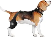 Dog Knee Brace - Dog Back Leg Support | Comfortable Back Legs Lifting | Non-Slip Pet Knee Sleeve With Adjustable Strap, Soft Protector For Mobility Fixation Recovery Rehabilitation Leg Support For Eld
