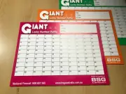 Giant Lucky Number Raffle (1-100)