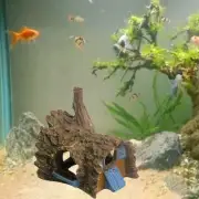 Reptile Hideout Aquarium Decoration Habitat Landscape Decoration Tank