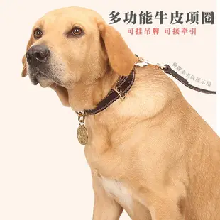 狗狗真皮項圈中大型小型犬金毛泰迪柯基狗頸圈牛皮脖圈項鏈可調節