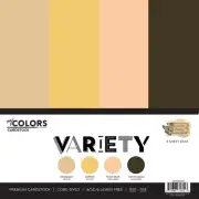 PhotoPlay Cardstock Variety Pack 8/Pkg-Everday Junque