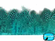 1 Yard - PEACOCK BLUE Guinea Hen Plumage Feather Trim