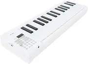 SustVita 61 Key Folding Piano, Weighted Electric Keyboard, Portable Electronic Keyboard for Beginners, with Recording and Playback Features