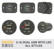DUAL USB Charger 3.1A All Styles - Outlet Socket Power LED - Flush Mount Panel