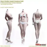 TBLeague PHMB2019-S29B 1/6 Suntan Mid Breast PH 12inch Female Action Figure Body