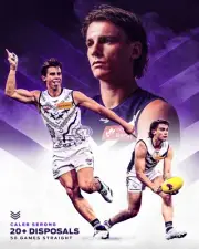 FREMANTLE DOCKERS PREMIERS AFL FOOTBALL TEAM POSTER,BIG 420mm,Bargain,+FDBK