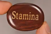 *STAMINA* ZEBRA STONE Word Stone 4.2cm 24.4g Healing Crystal Gift Palm Worry