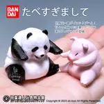 【扭蛋達人】BANDAI扭蛋 坐姿體前彎的動物們 全2種 (現貨特價)C1