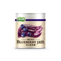在飛比找蝦皮購物優惠-【馥品屋】梨山 藍莓果醬 900公克