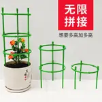 12H花架子室內傢用爬藤架火龍果番茄蟹爪蘭綠蘿太陽花爬藤支架桿