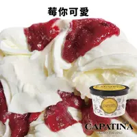 在飛比找蝦皮商城優惠-【CAPATINA義式冰淇淋】莓你可愛/草莓優格冰淇淋分享杯
