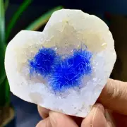 63G Indian dandelion zeolite Quartz Crystal Cluster Mineral Specimen